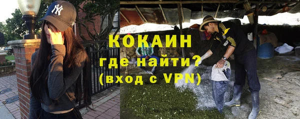 эйфоретик Пересвет