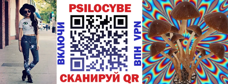 Псилоцибиновые грибы мухоморы  Купить где  Рязань 